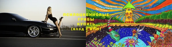 спайс Арсеньев
