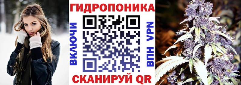 закладки  кракен сайт  Шишки марихуана семена  Козьмодемьянск 